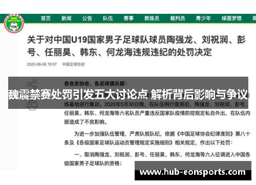魏震禁赛处罚引发五大讨论点 解析背后影响与争议